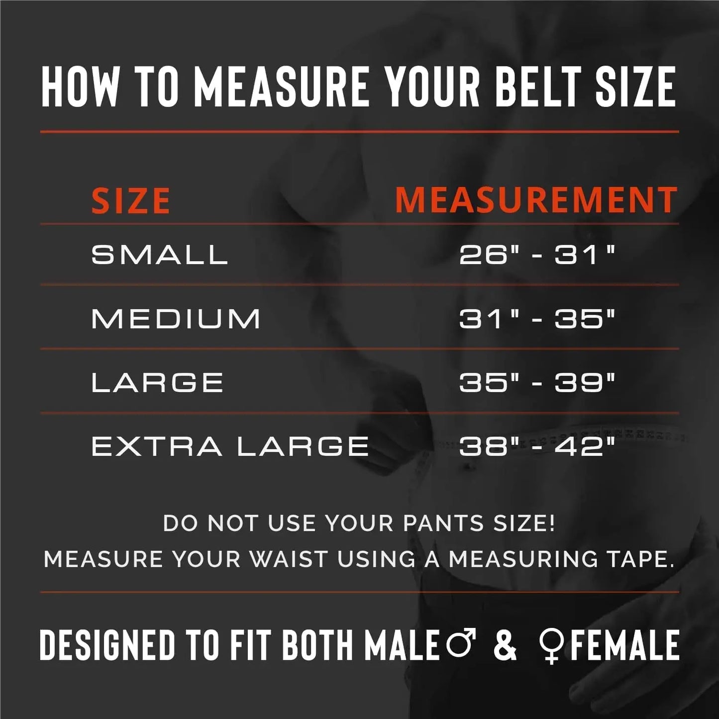 Weight Lifting Back Support Belt